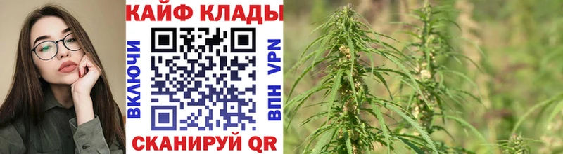 Купить Ачинск ОМГ ОМГ зеркало  Гашиш  Псилоцибиновые грибы  Cocaine  МАРИХУАНА  Alpha-PVP 